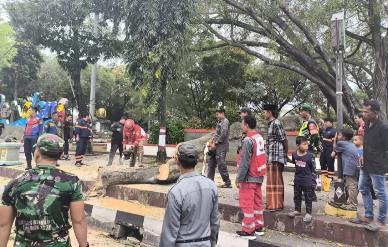 Tragedi Pohon Tumbang Timpa Jemaah Shalat Idul Fitri