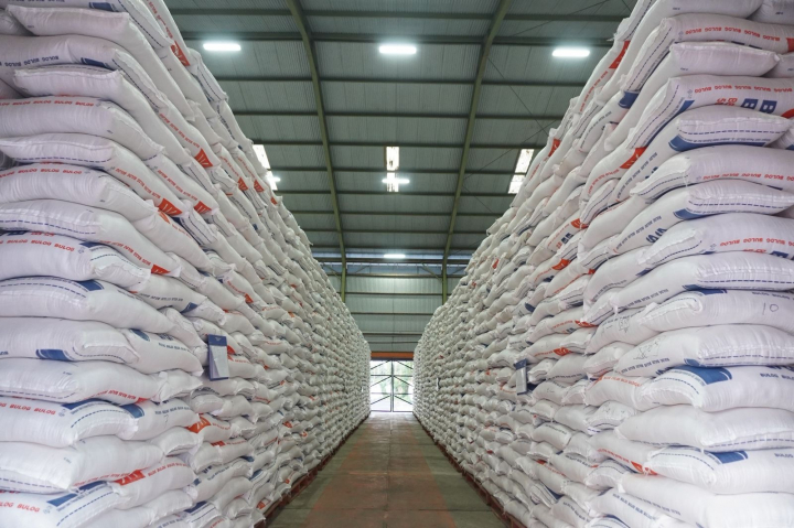 Stok Beras Nasional Tembus 3,8 Juta Ton, Pemerintah dan Bulog Makin Solid